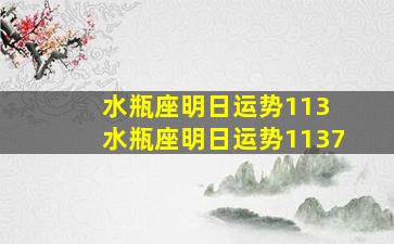 水瓶座明日运势113 水瓶座明日运势1137